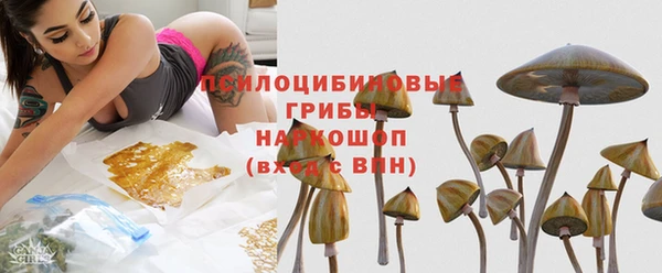 молекула духа Нефтекумск