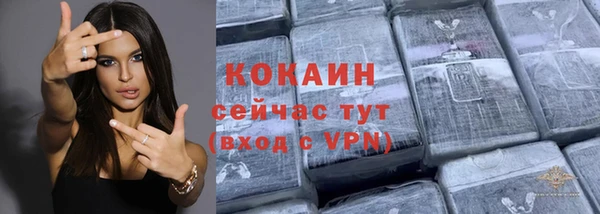 МДПВ Нея