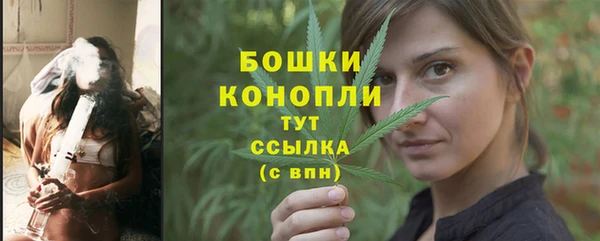 МДПВ Нея