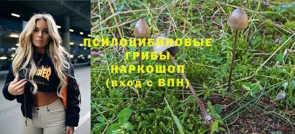 молекула духа Нефтекумск