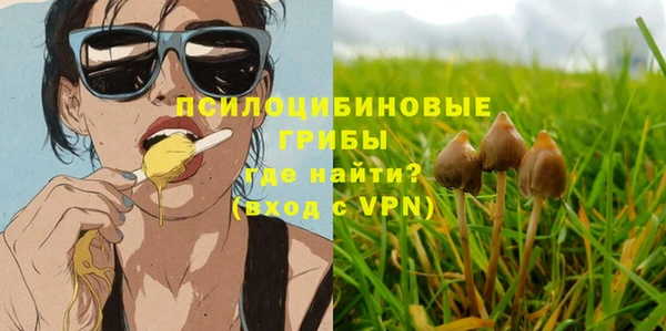 молекула духа Нефтекумск