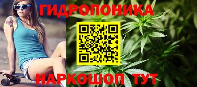 гашик Будённовск