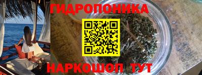 гашик Будённовск