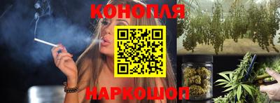 гашик Будённовск