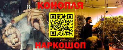 гашик Будённовск