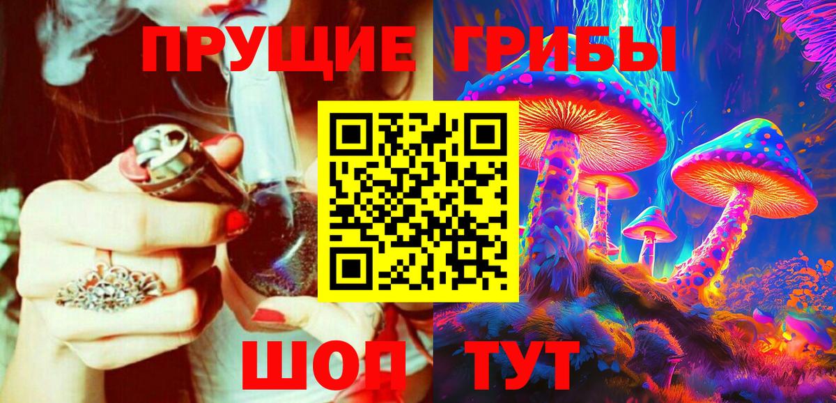 Псилоцибиновые грибы Psilocybe Ярцево
