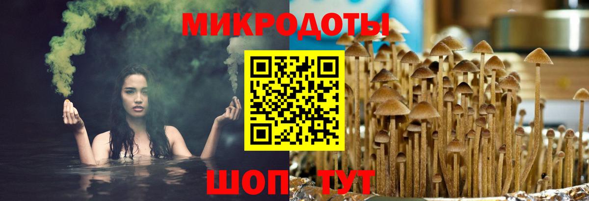 Псилоцибиновые грибы мухоморы Ярцево